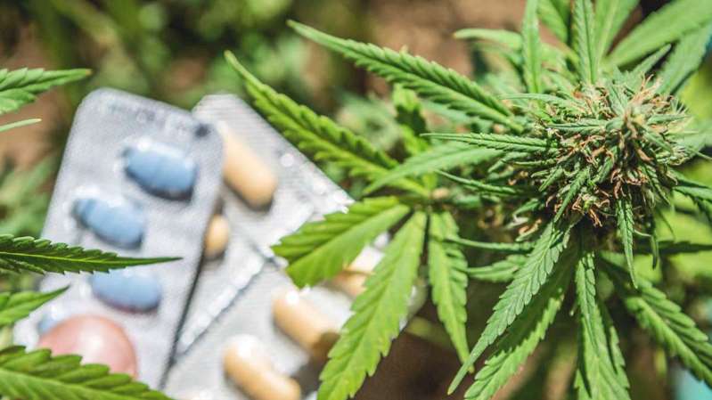 Opioides y marihuana, el peor cóctel para tu salud mental Opioides y marihuana, el peor cóctel para tu salud mental